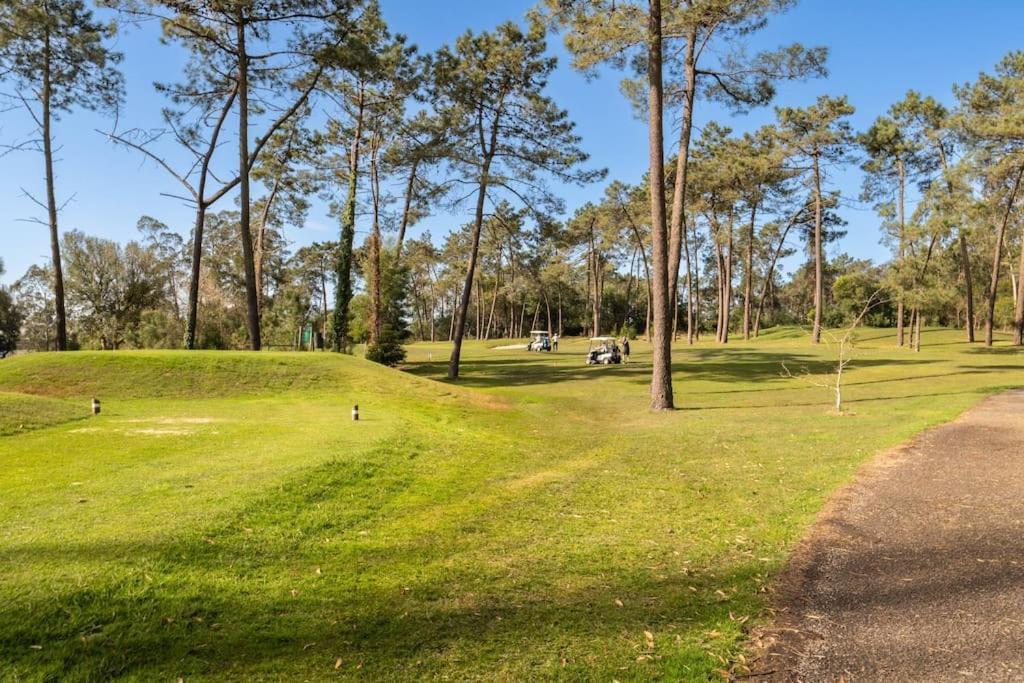 Quinta Da Barca Guest House Esposende Dış mekan fotoğraf