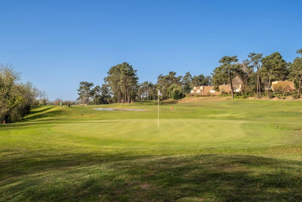 Quinta Da Barca Guest House Esposende Dış mekan fotoğraf