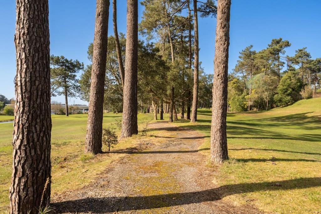 Quinta Da Barca Guest House Esposende Dış mekan fotoğraf