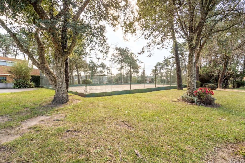 Quinta Da Barca Guest House Esposende Dış mekan fotoğraf